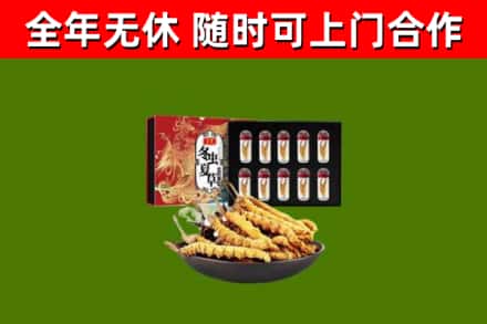 泰安市回收冬虫夏草价格